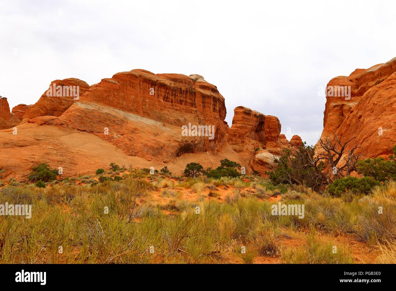 Beautiful rock pedestals in Arches National Park, Utah Stock Photo Alamy