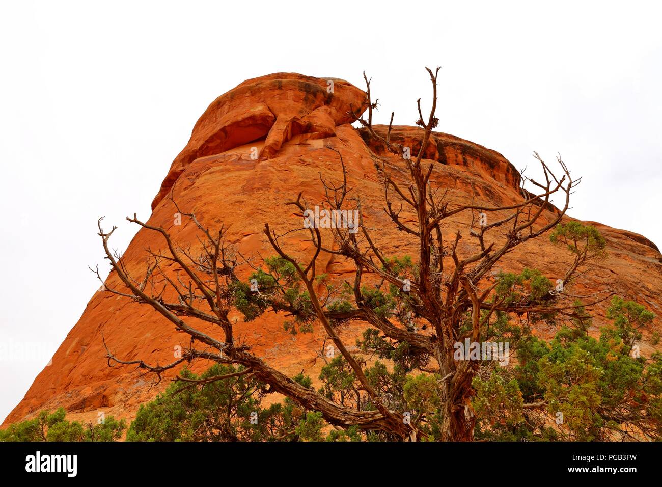 Beautiful rock pedestals in Arches National Park, Utah Stock Photo Alamy