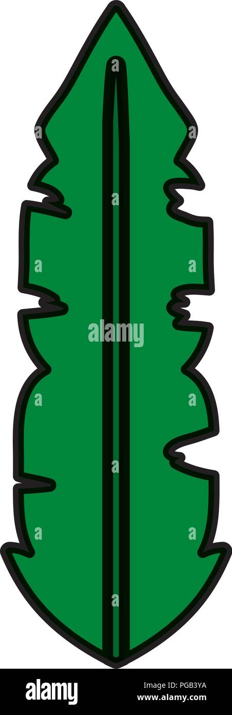 color botanic tropical leaf natural style Stock Vector Image & Art - Alamy