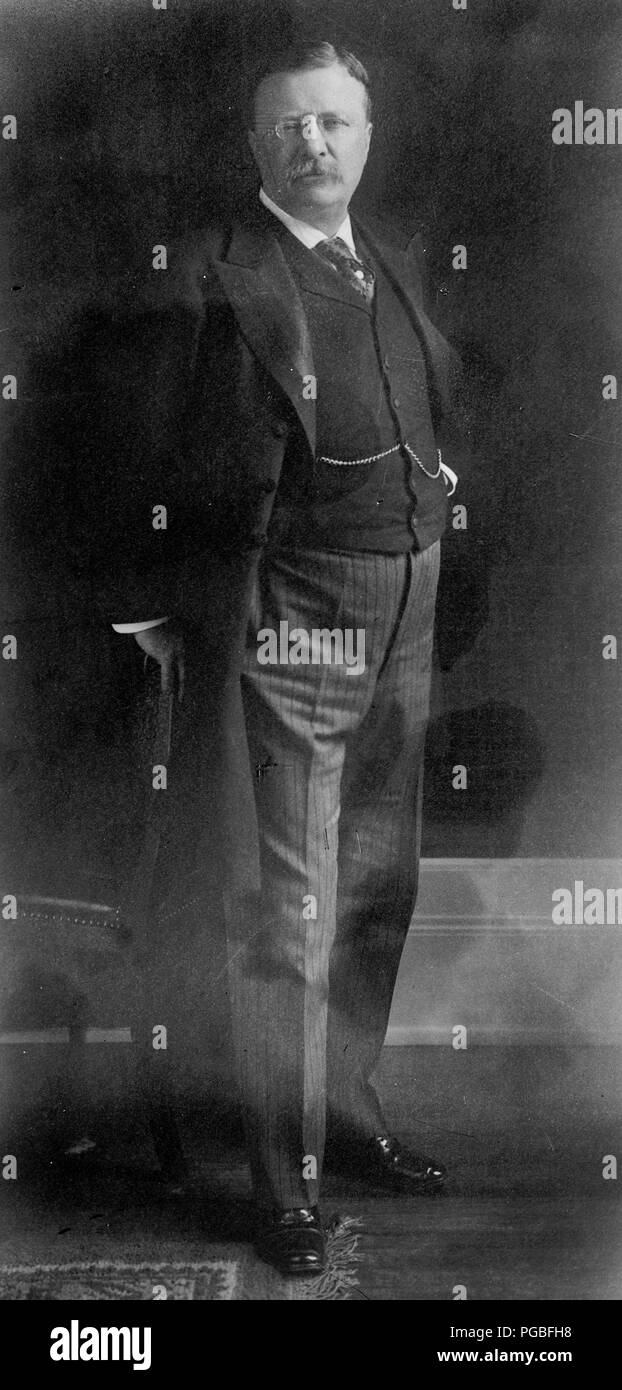 T.R. [Theodore Roosevelt] Roosevelt Stock Photo - Alamy