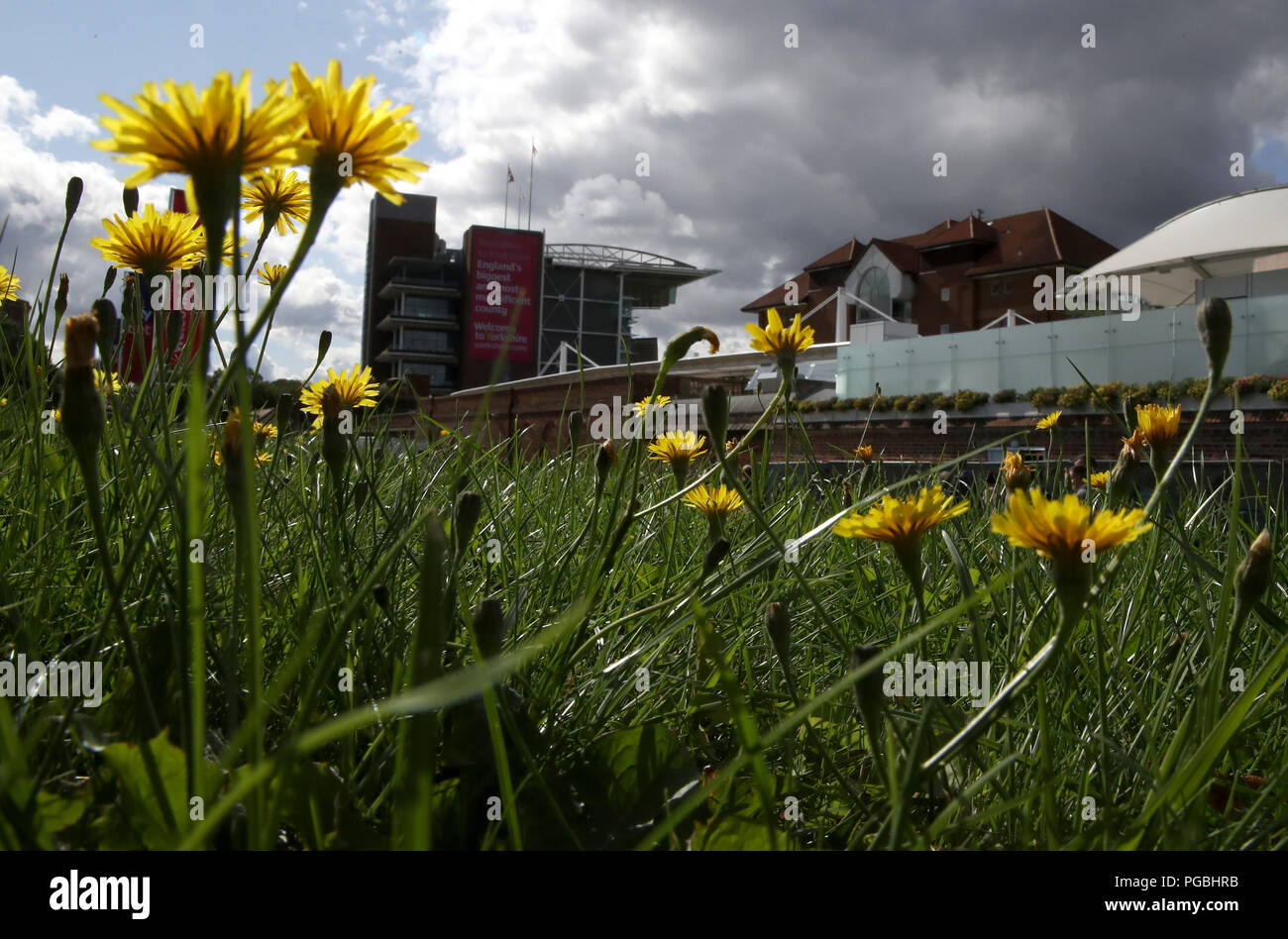 A general view of the racecourse during Sky Bet Ebor Day of the Yorkshire Ebor Festival at York Racecourse. Stock Photo