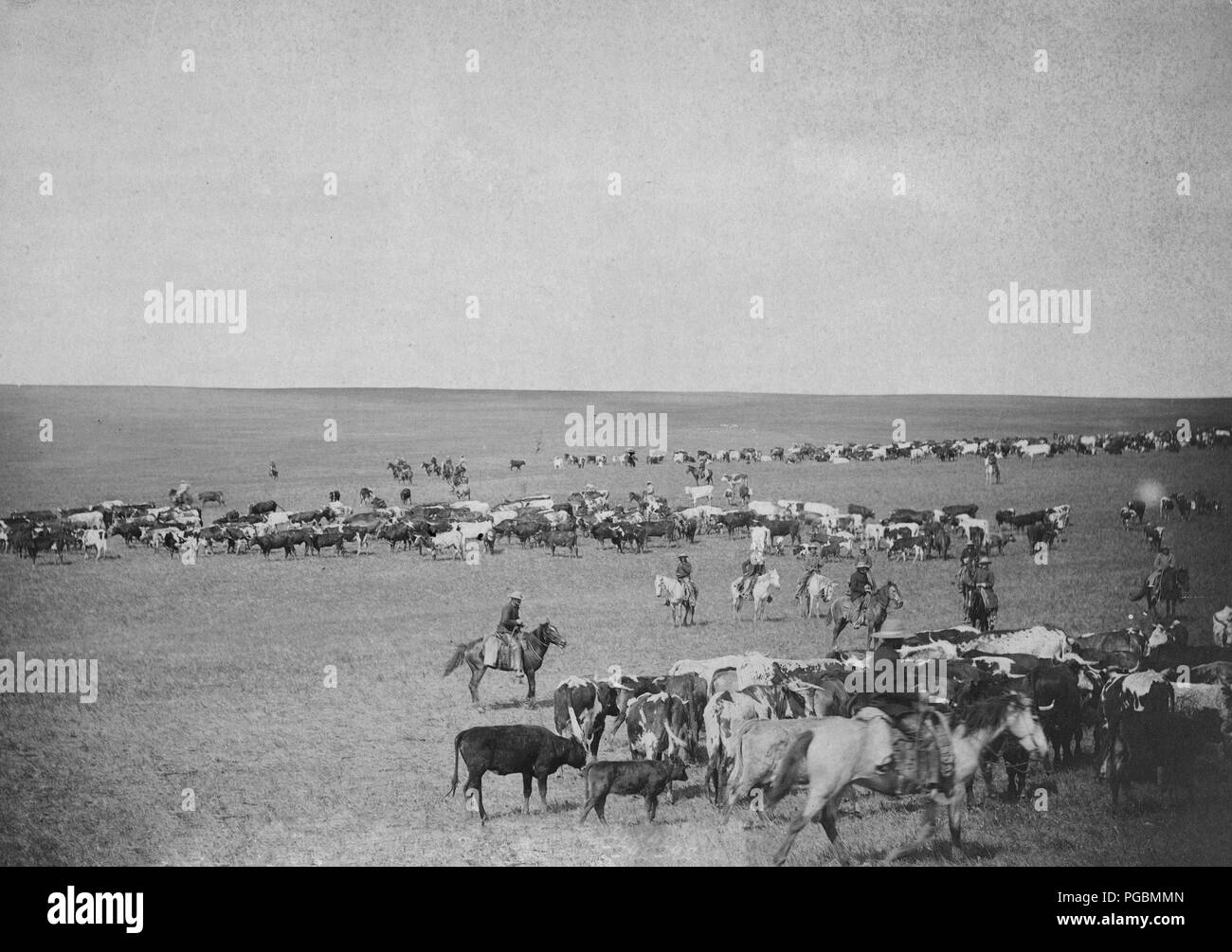 Black cowboys 1800s hi-res stock photography and images - Alamy