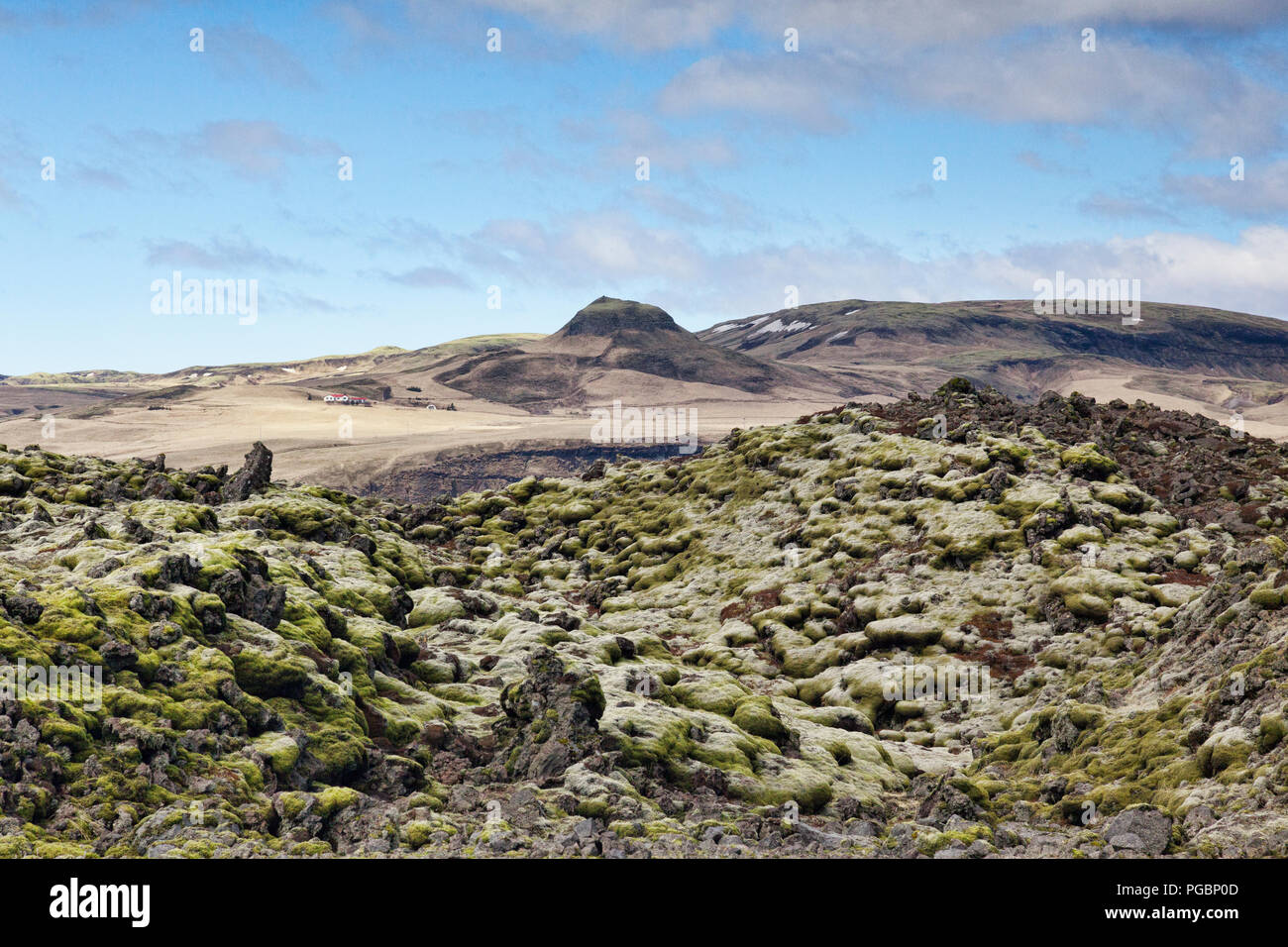 Moss covered ancient lava field at Skaftareldahraun, South Iceland Stock Photo