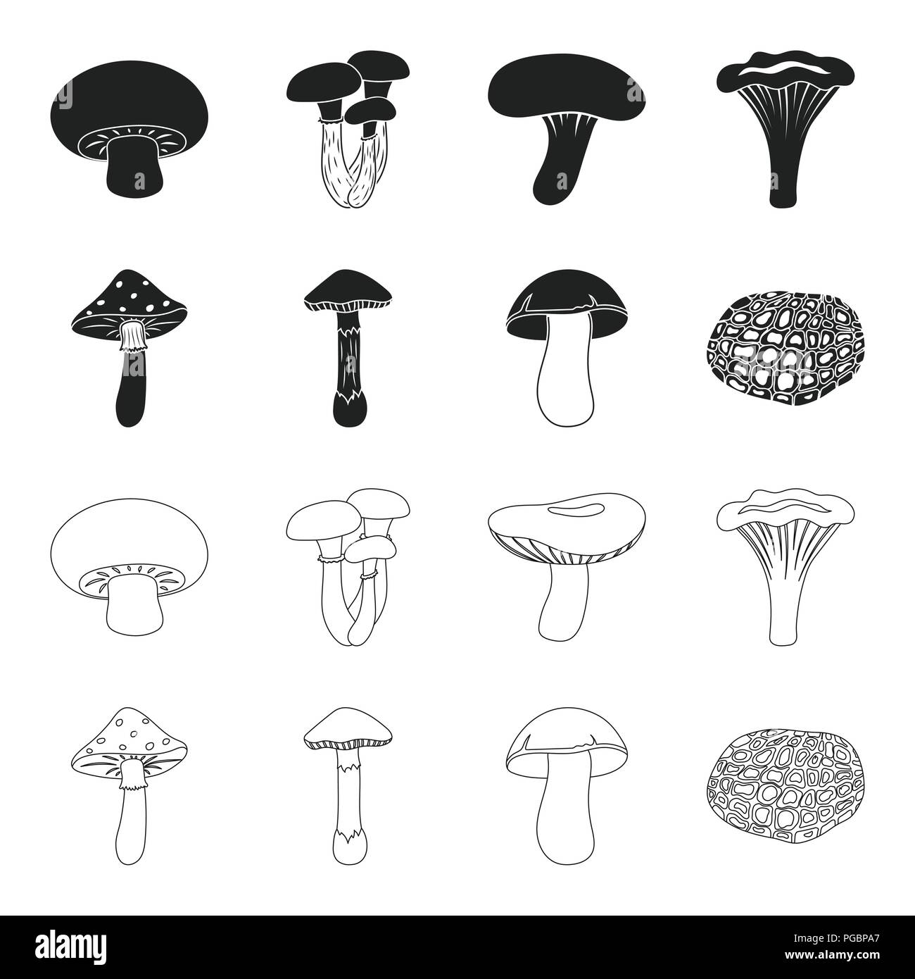 Amanita, porcini, black truffle,toadstool. set collection icons in ...