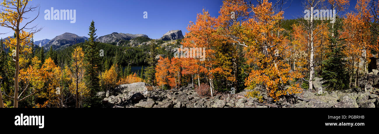 Aspen trees in fall colors, Rocky Mountain National Park, Colorado, USA, with lakes and mountains on the Lake Bierstadt trail from Bear Lake Stock Photo