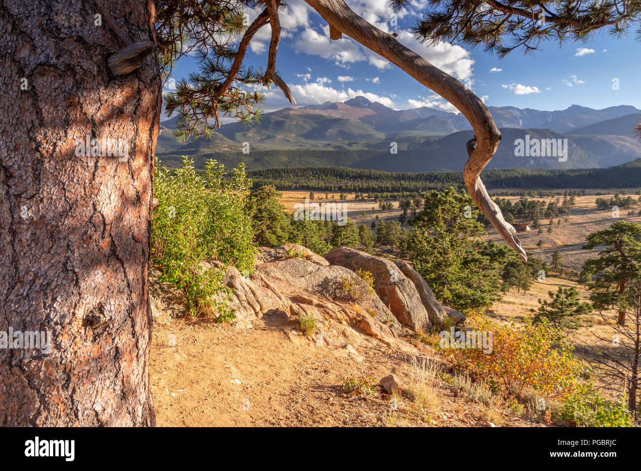 View over the Rocky Mountains from the Trail Ridge Road in the Rocky Mountain National Park, Colorado, USA Stock Photo