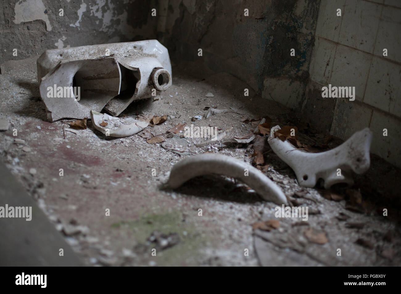 Toilet bowl broken into pieces in abandoned hospital Stock Photo
