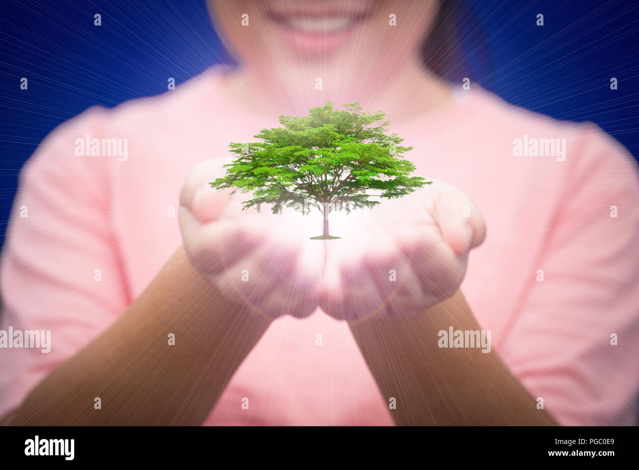 tree in woman hand help to protect nature and ecology reservation for future human life Stock Photo
