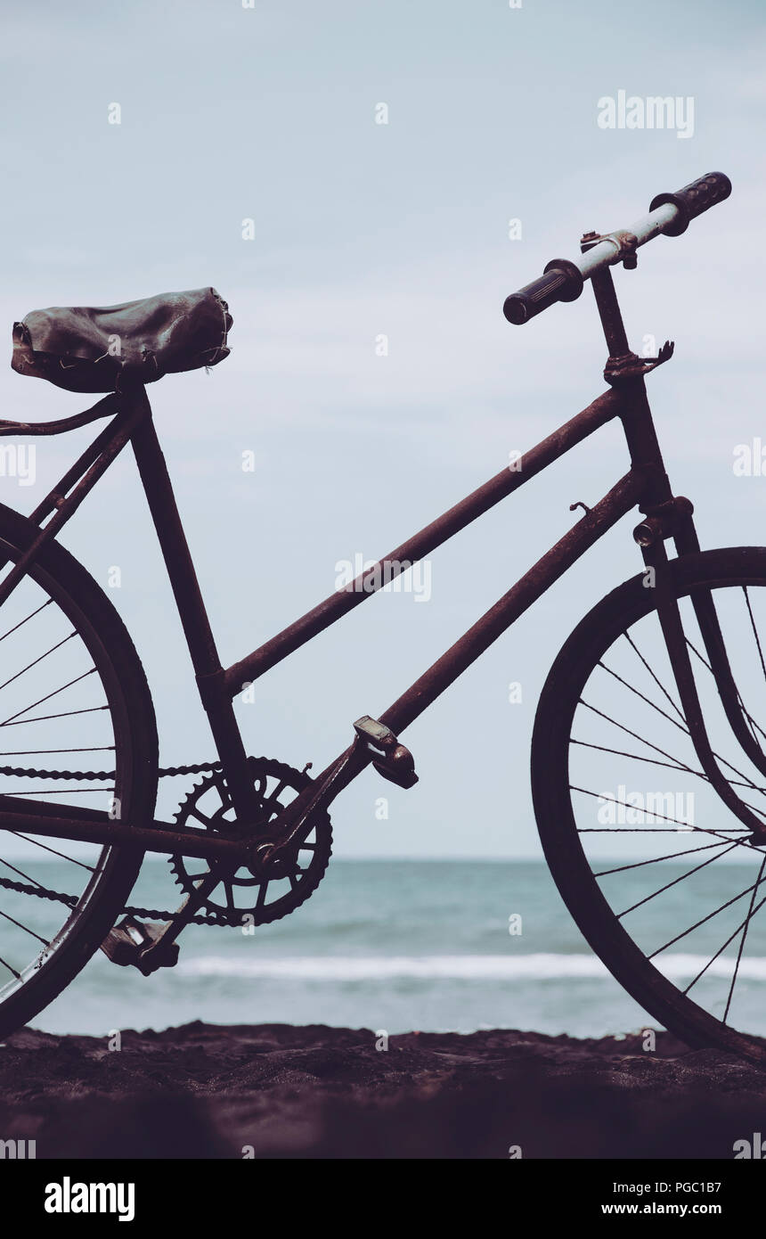 Old vintage retro bicycle on the beach Stock Photo Alamy
