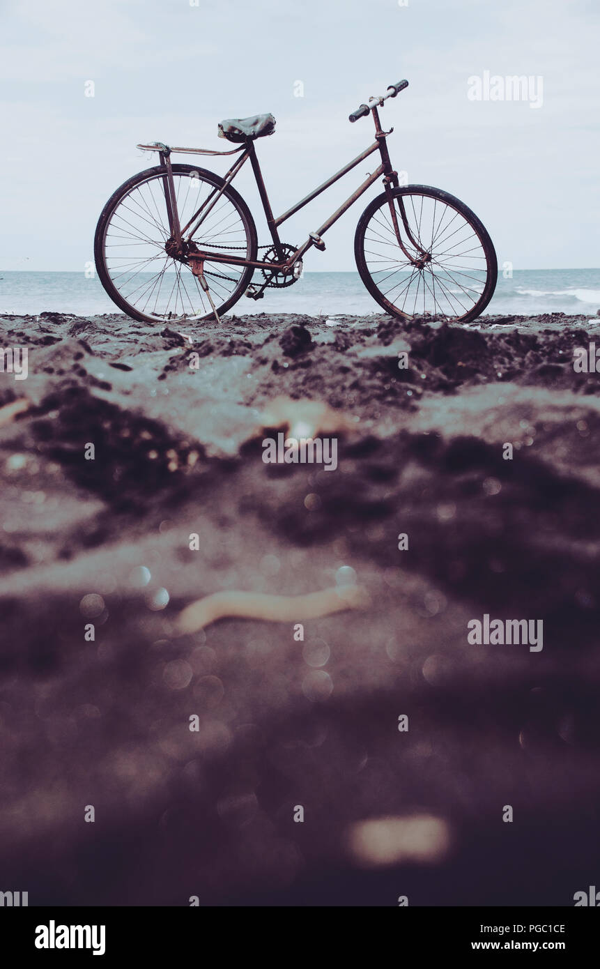 Old vintage retro bicycle on the beach Stock Photo Alamy