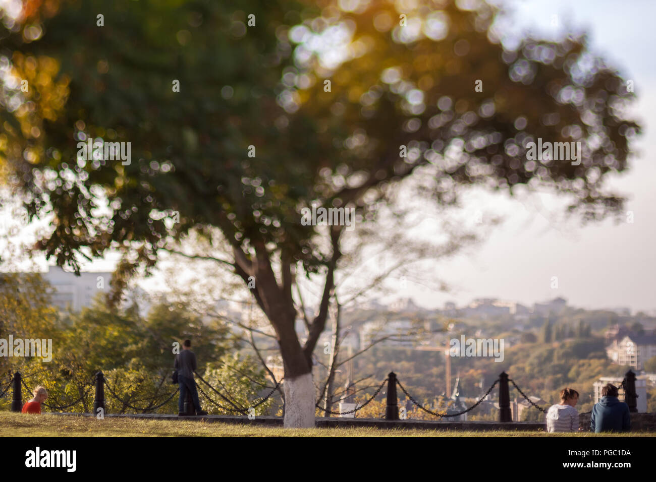 Rest Under Tree Rest shift hi-res stock photography and images - Alamy