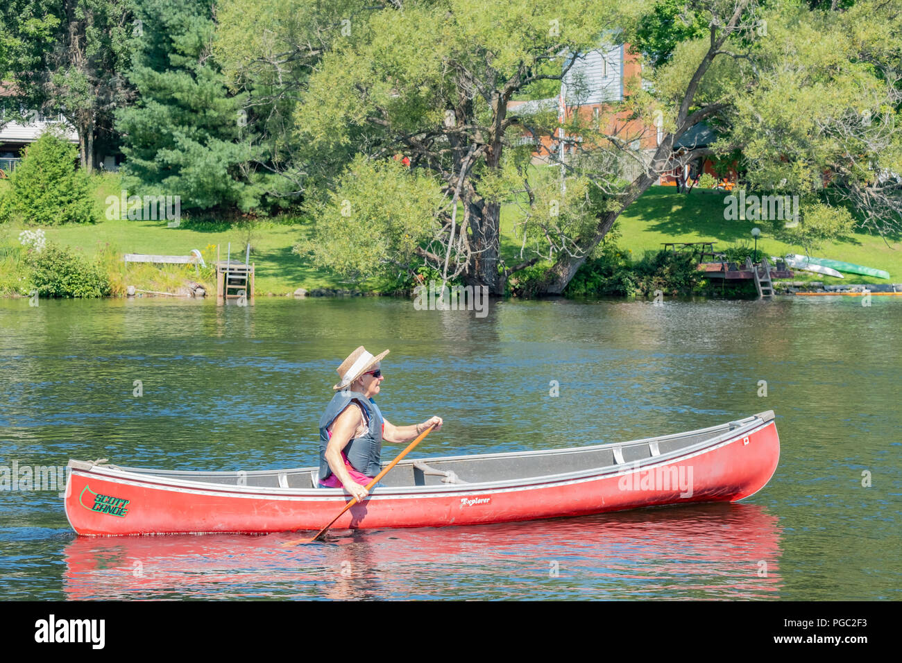 Elderly female paddler steers her canoe up the Muskoka River near Bracebridge Ontario. Stock Photo