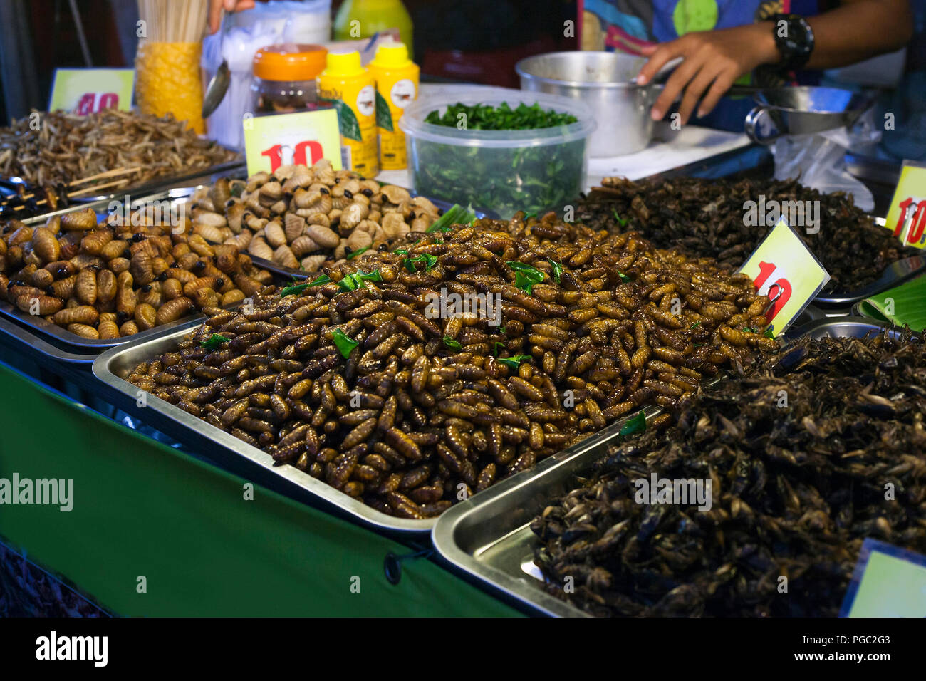 Thai food fried spicy worms and insects at night street market in Phuket Town, Thailand Stock Photo