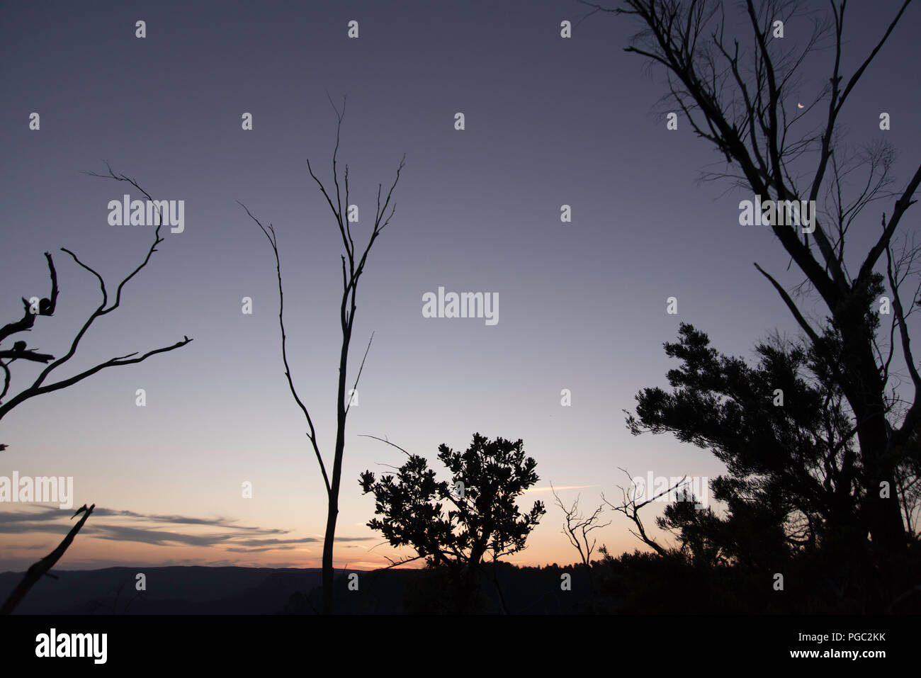 Twilight in the Australian Blue Mountains, with tree silhouettes and new moon Stock Photo