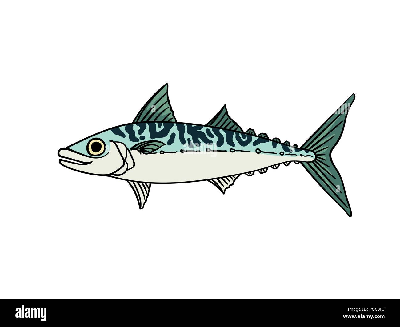 Silver Fish Vector Vectors Stock Photos Silver Fish Vector