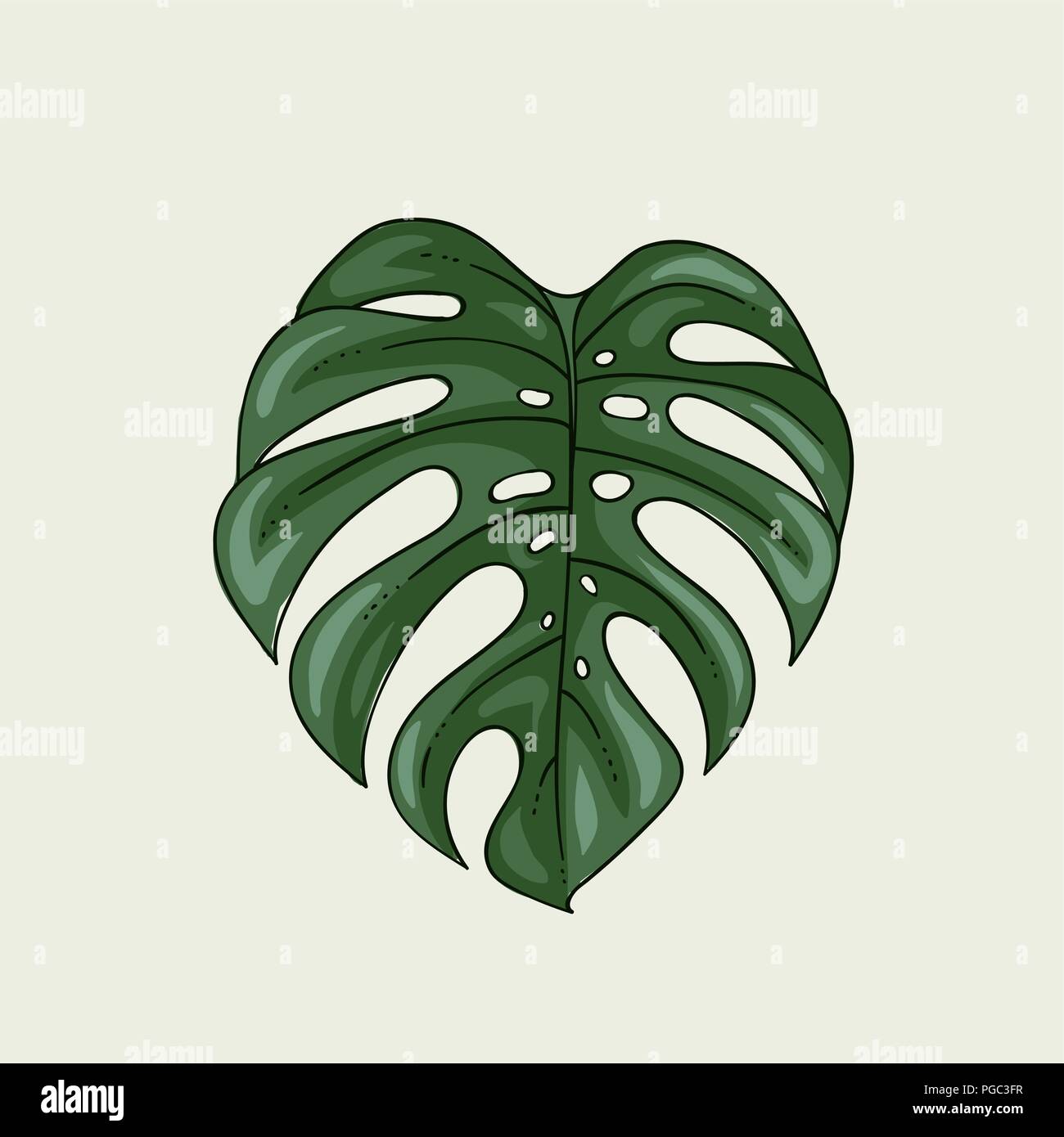 Monstera leaf plant isolated on white modern interior poster vector  illustration Stock Vector Image & Art - Alamy