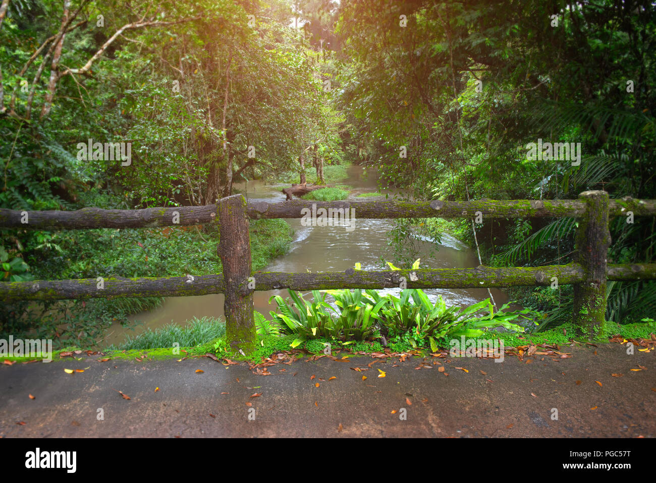 Concrete fence post bridge with moss in the nature of national park in