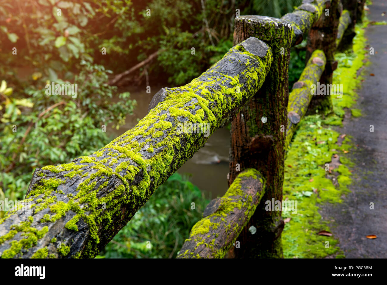 Concrete fence post bridge with moss in the nature of national park in
