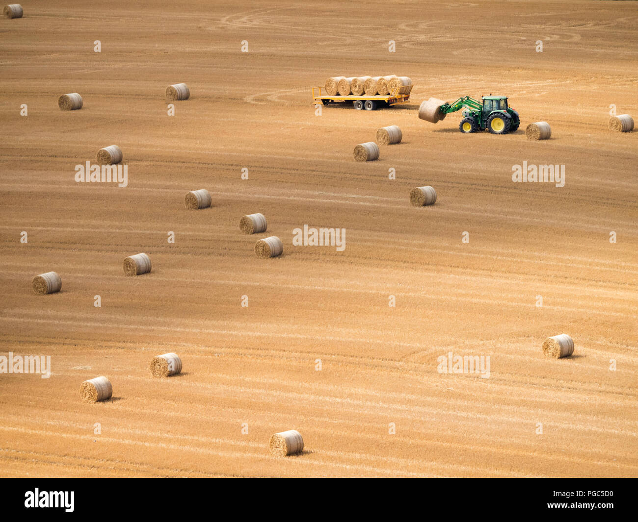 Green tractor with fork collecting round hay bales in a field and stacking on a trailer, near Whipsnade, Bedfordshire, England Stock Photo