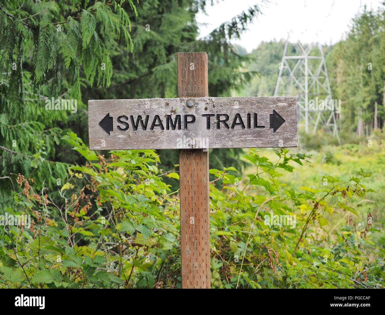 Swamp Trail sign, Tiger Mount, Washington state, USA Stock Photo - Alamy