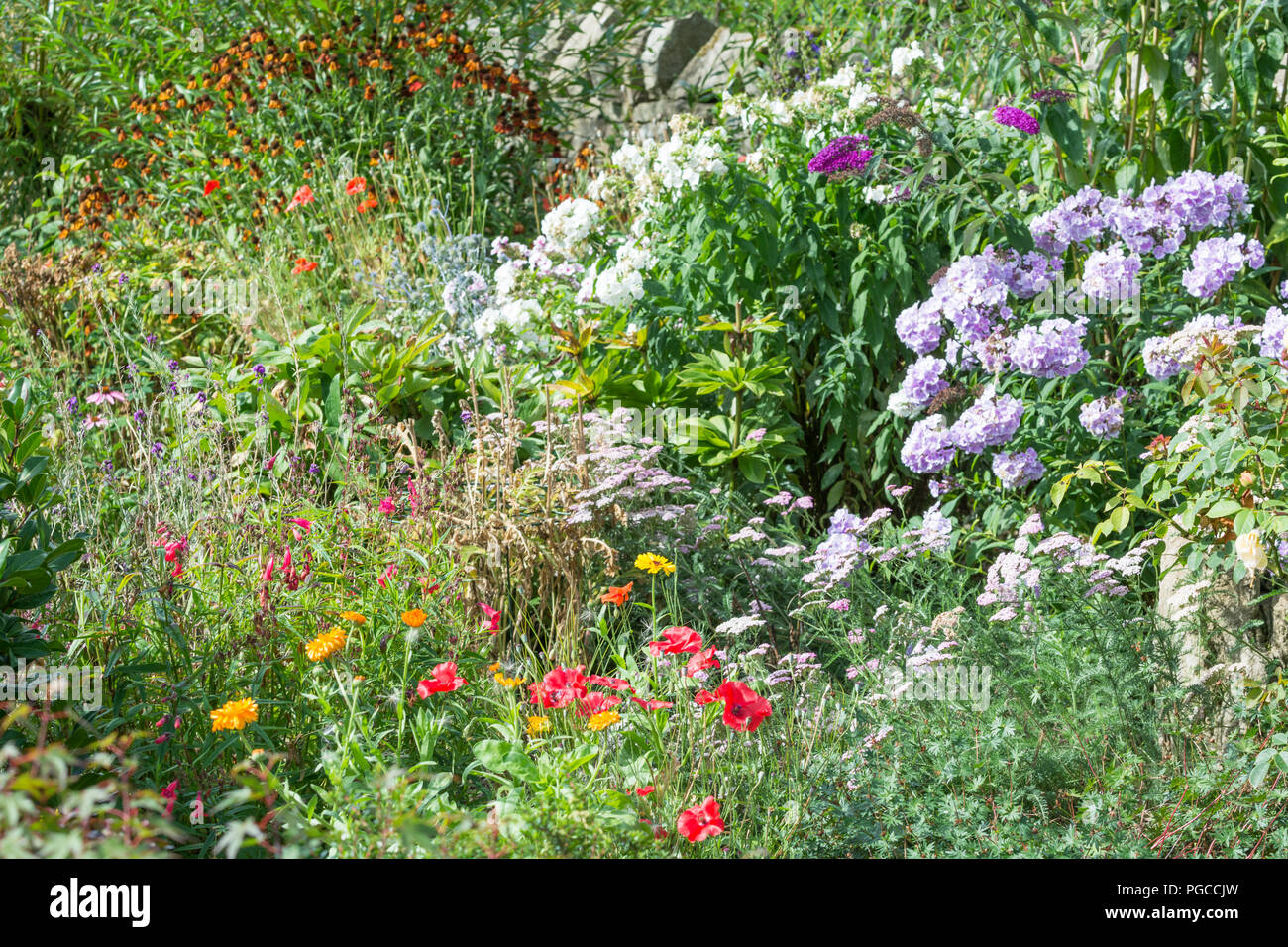 herbaceous garden border in summer Stock Photo