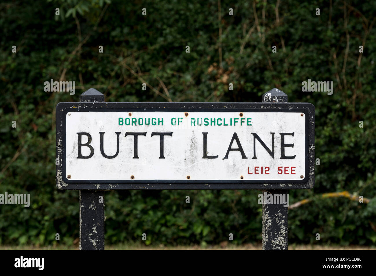 Qattiq qin porno video onlayn