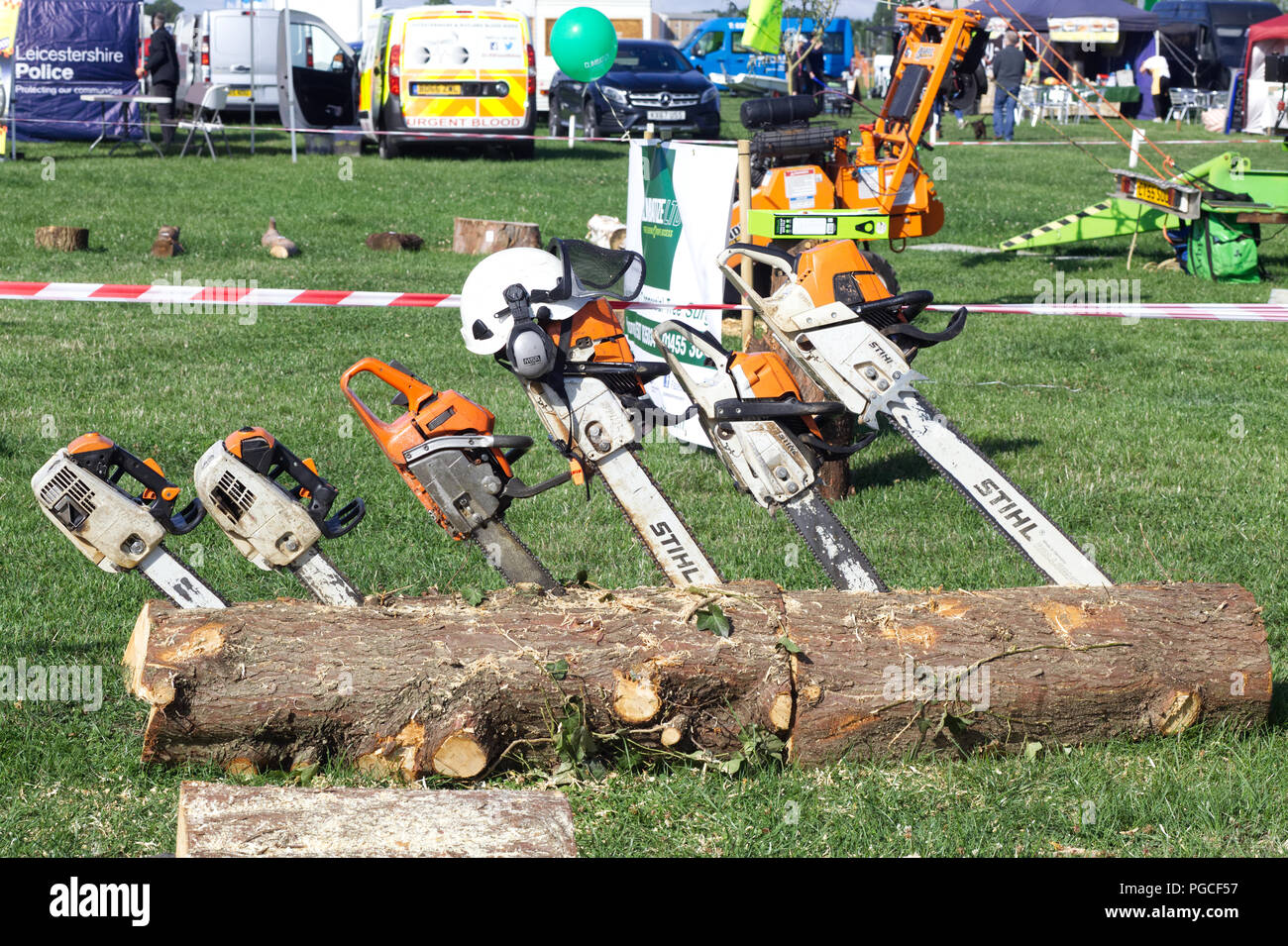 Chainsaws embedded in a tree  trunk ready for sculpting Stock Photo