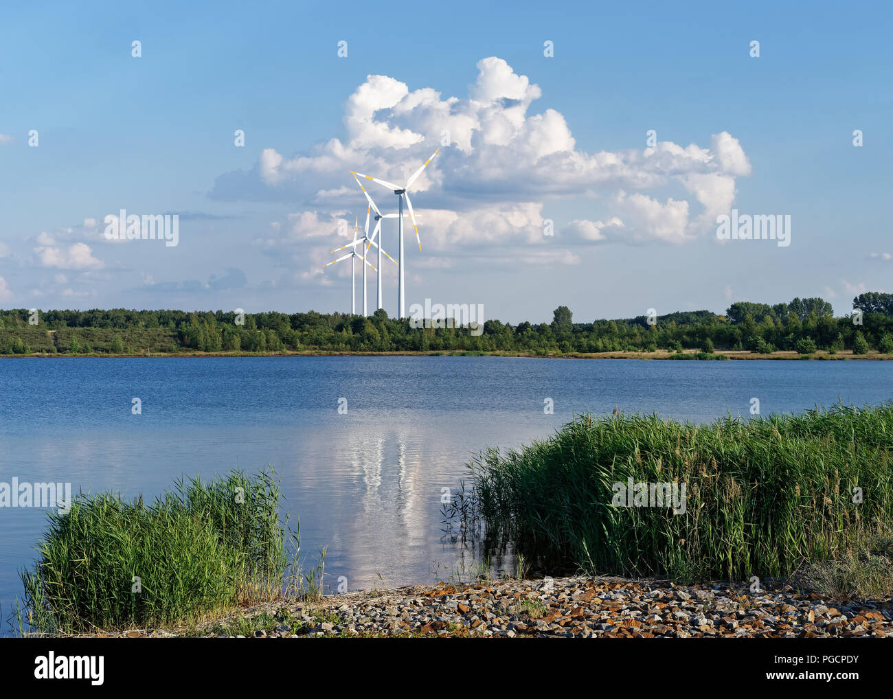 Several wind turbines stand in front of a huge cloud formation at the shore of a lake, warm summer weather Stock Photo