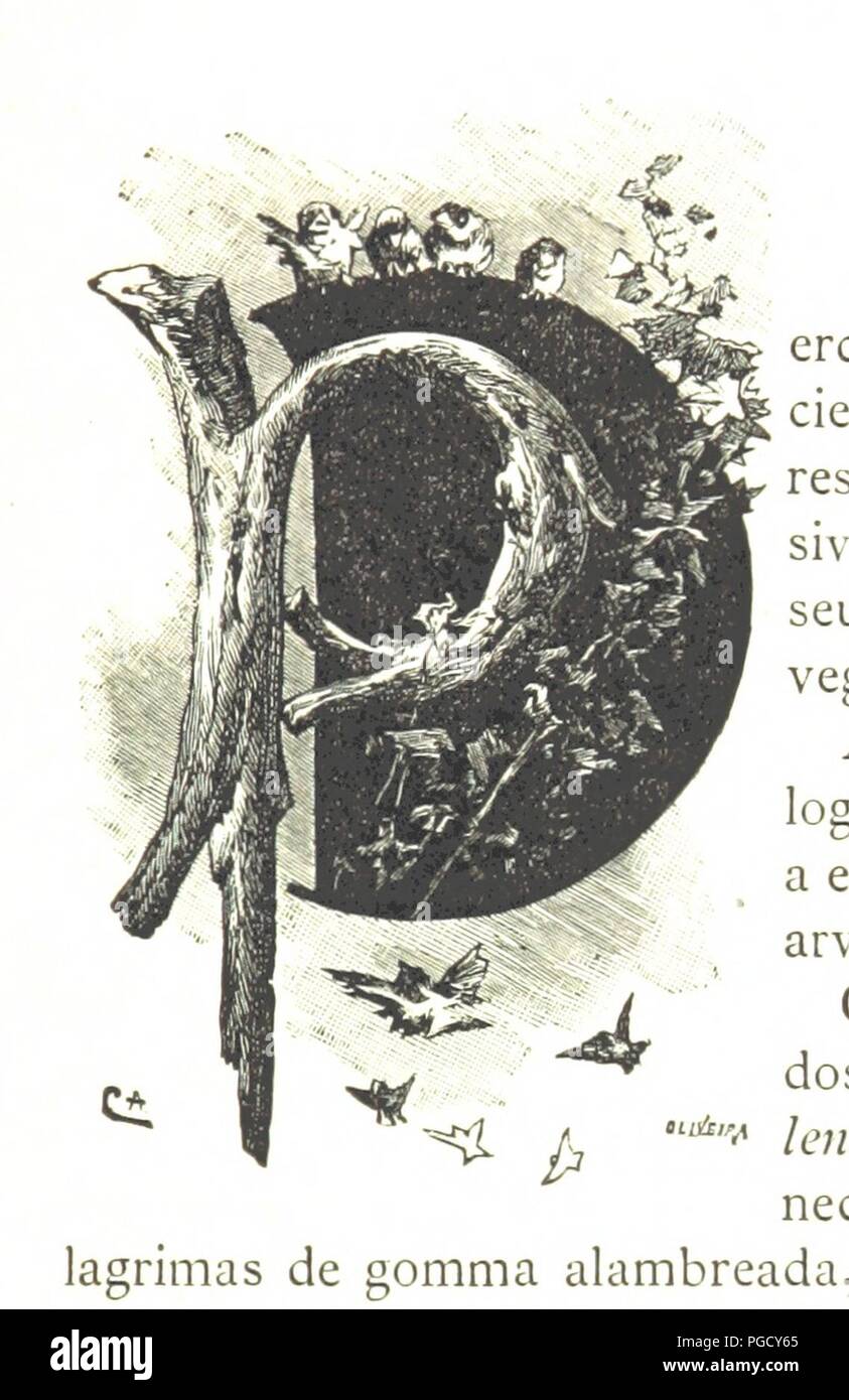 Image From Page 47 Of Expedicao Portugueza Ao Muata Ianvo Os Climas E As Produccoes Das Terras De Malange A Lunda Etc Pt I Stock Photo Alamy