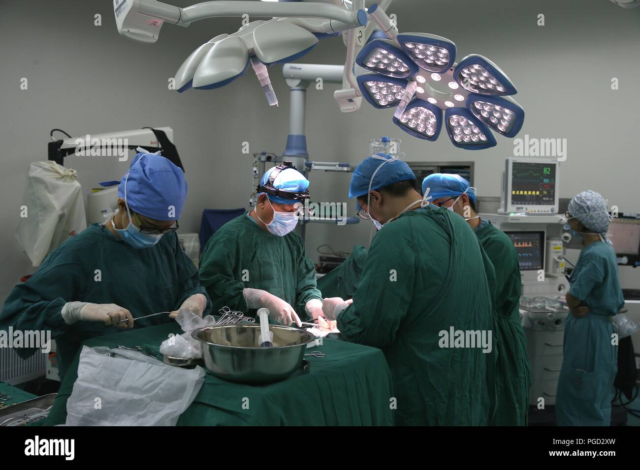 Donate Kidney Stock Photos Donate Kidney Stock Images Alamy