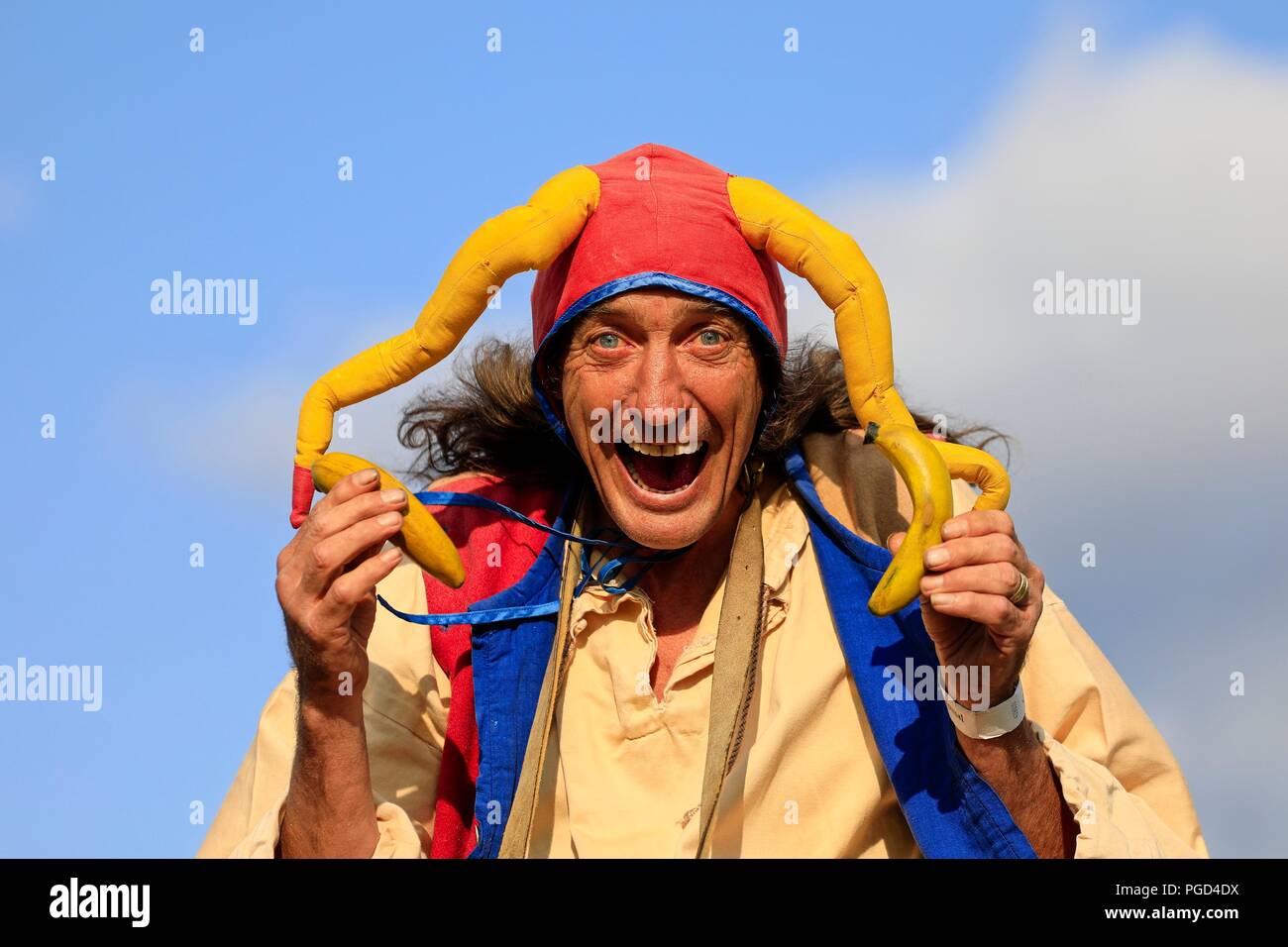 Medieval court jester hi-res stock photography and images - Alamy