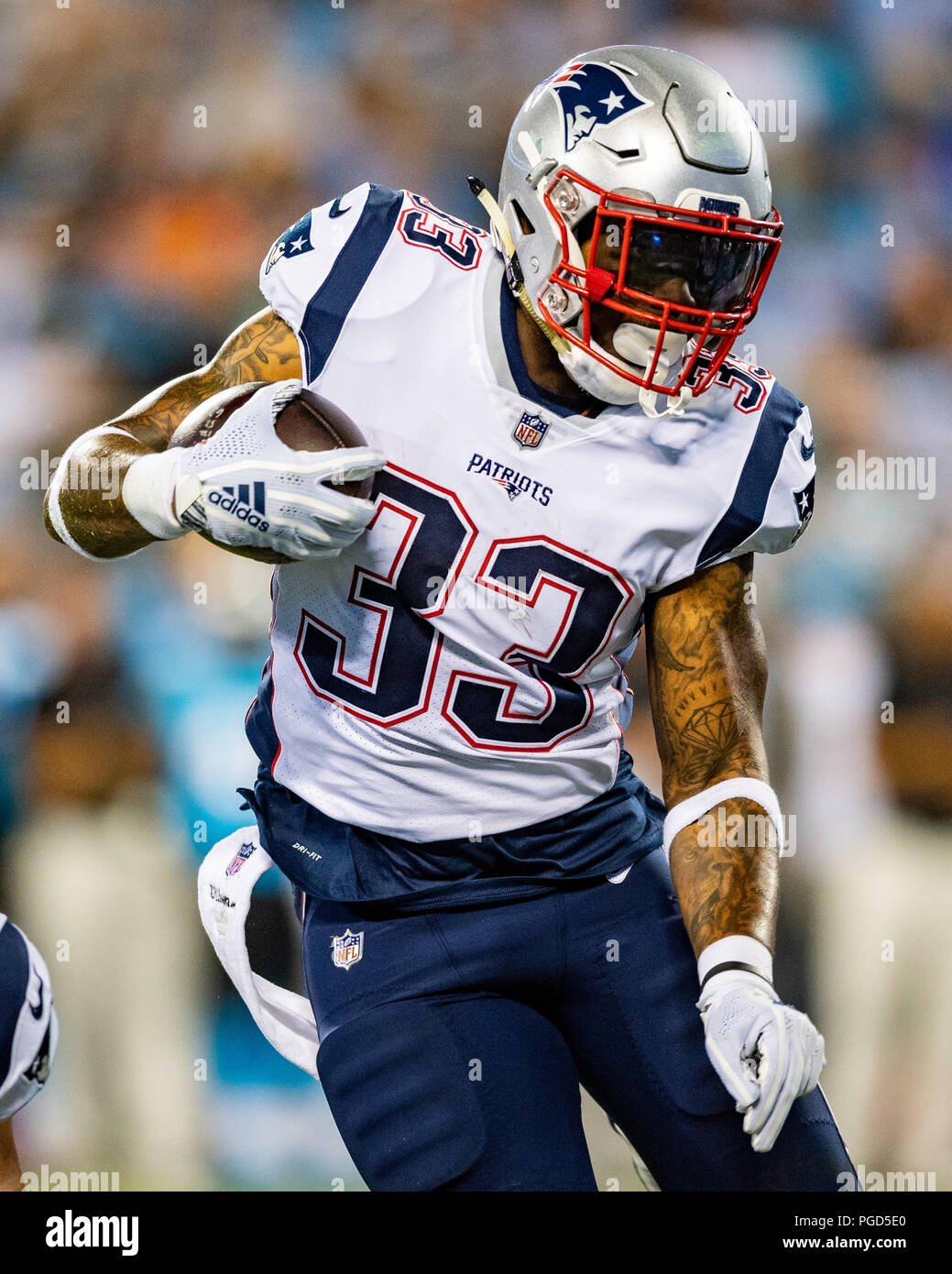New England Patriots running back Jeremy Hill (33) during the ...