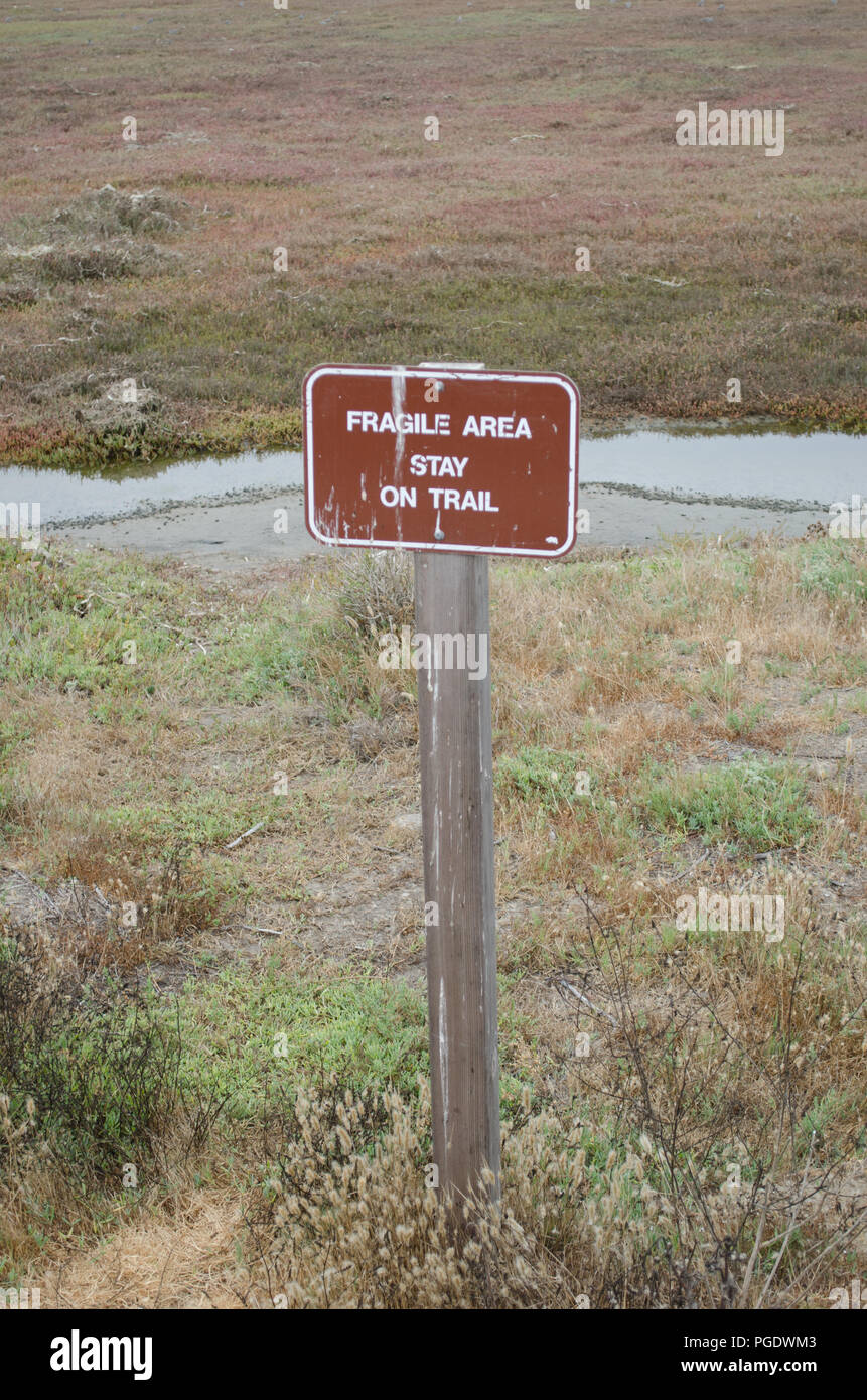 The Marina Peninsula Trail at Morro Bay State Park wanders through the