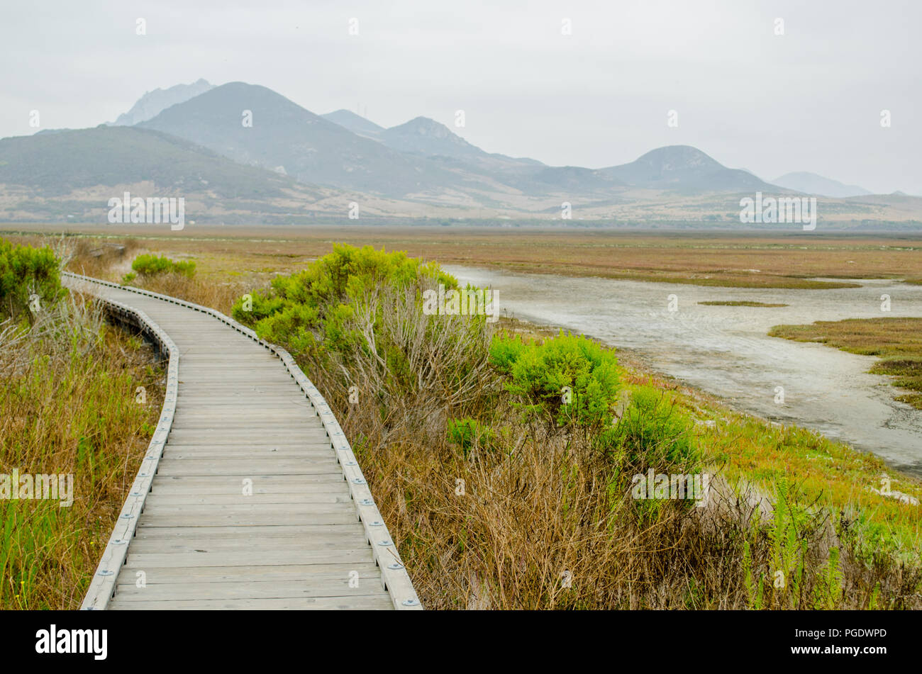 The Marina Peninsula Trail at Morro Bay State Park wanders through the