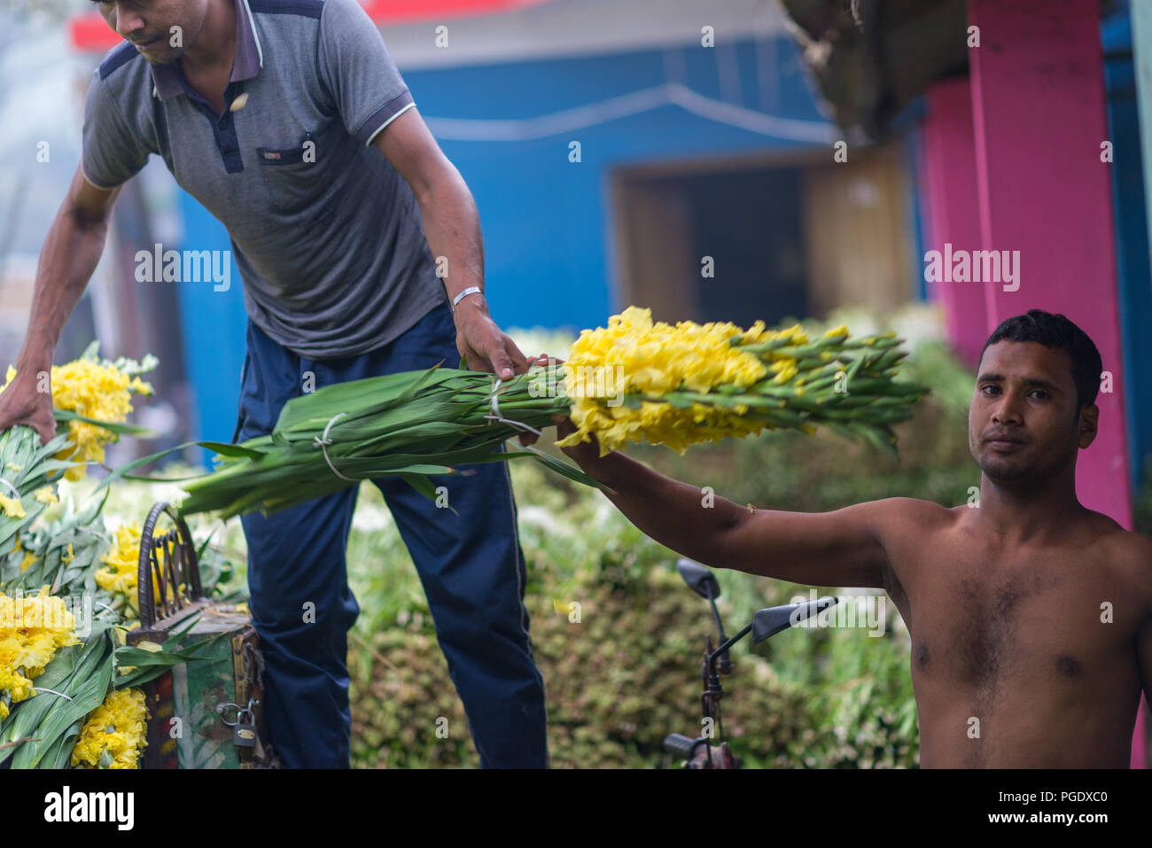 wholesale flowers market, jessore 2016 Stock