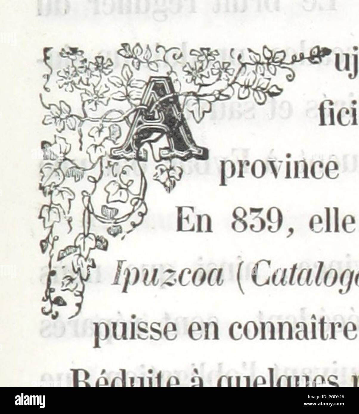 Image  from page 133 of 'Guide du Voyageur de Bayonne à St.-Sébastien (contenant dialogues et vocabulaire français, espagnol et anglais) ... Illustrations, etc' . Stock Photo