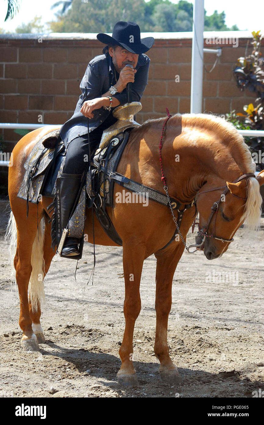 Joan Sebastian Mounts His Horse In Cuernavaca Morelos Jose Manuel Figueroa Singer Of Mexican Popular Music Composer And Actor The King Of Jaripeo Stock Photo Alamy
