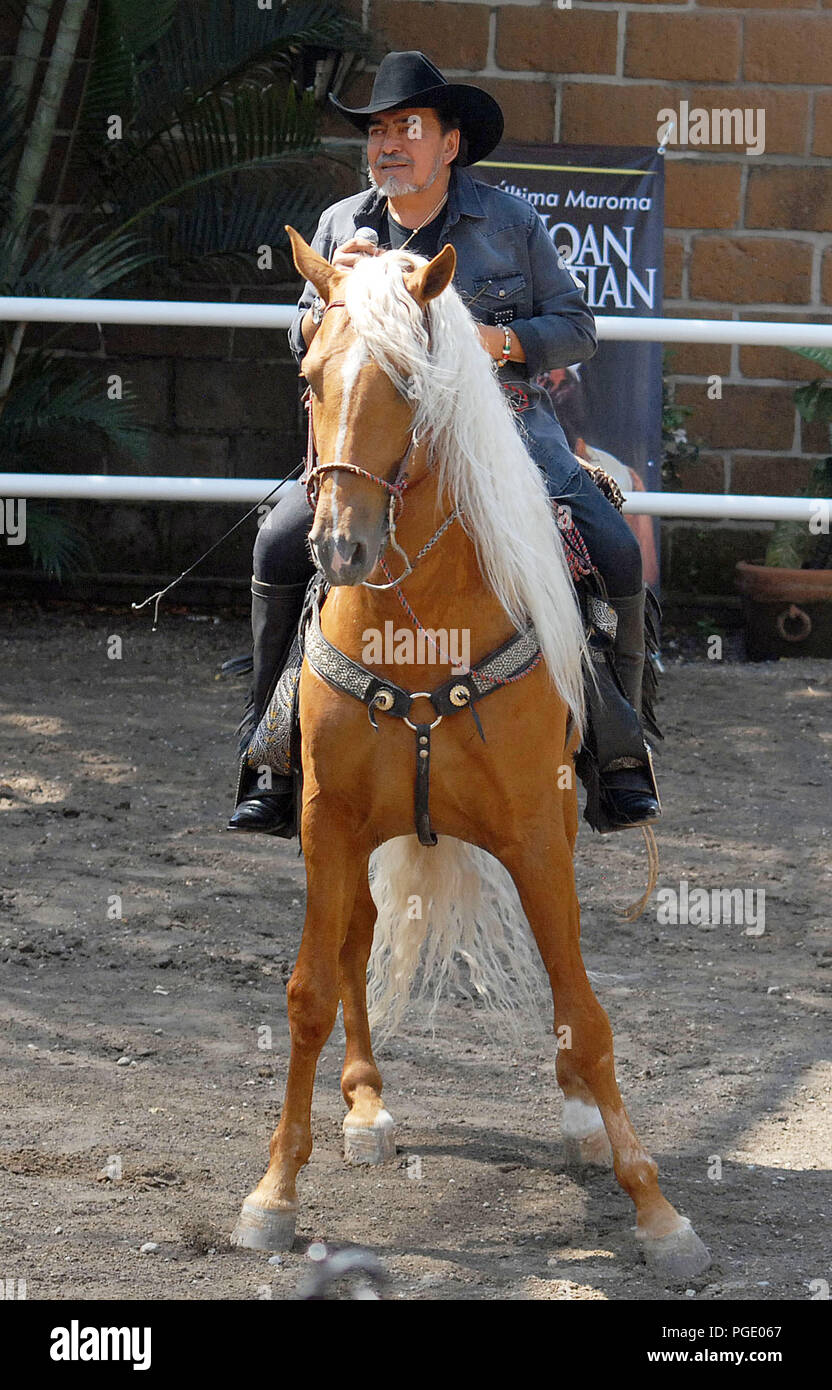 Jaripeo Stock Photos Jaripeo Stock Images Alamy