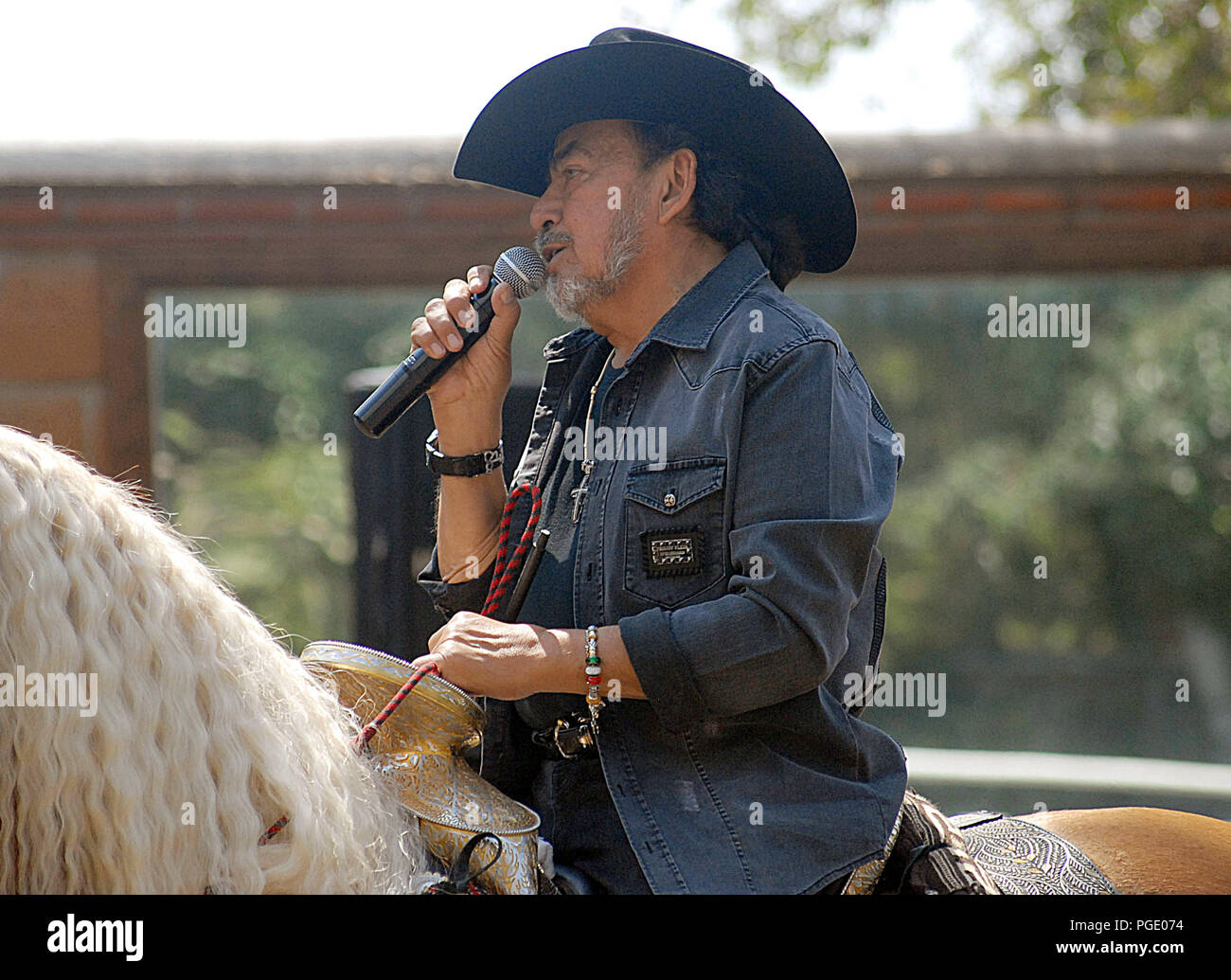 Caballo vaquero hi-res stock photography and images - Alamy