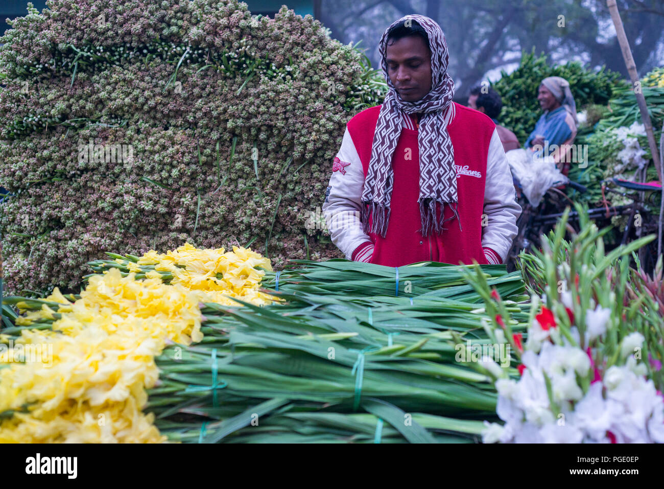 hires stock photography and images Alamy