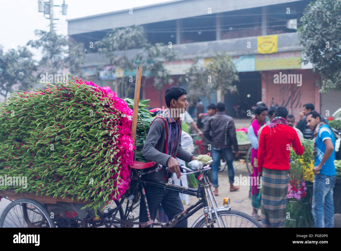 wholesale flowers market, jessore 2016 Stock