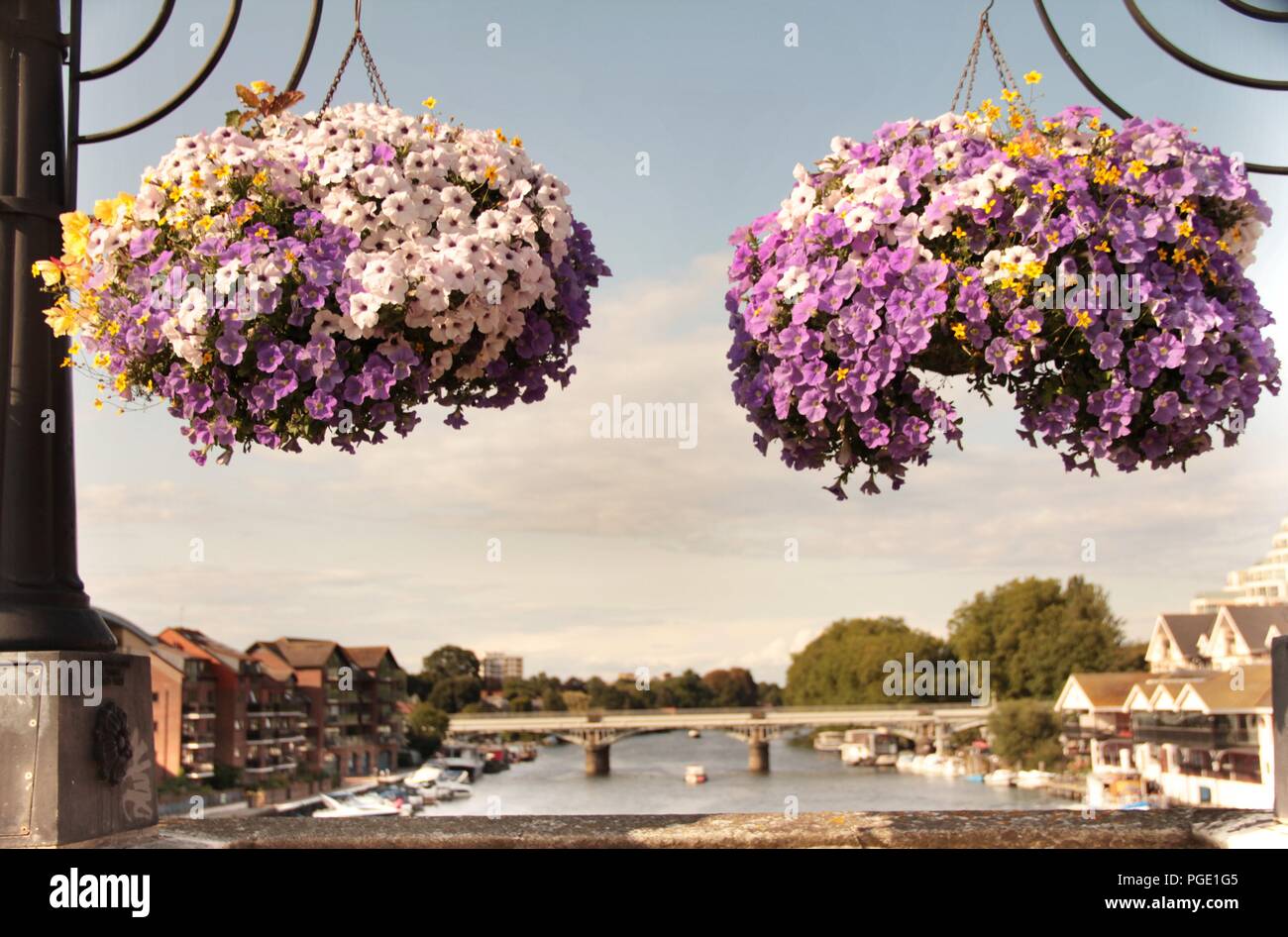 Summer flowers in Kingston Bridge Stock Photo Alamy