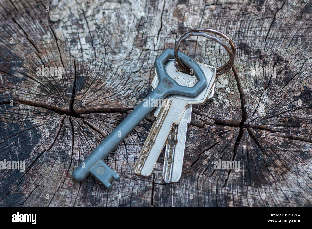 Close-up of a key on a log Stock Photo - Alamy