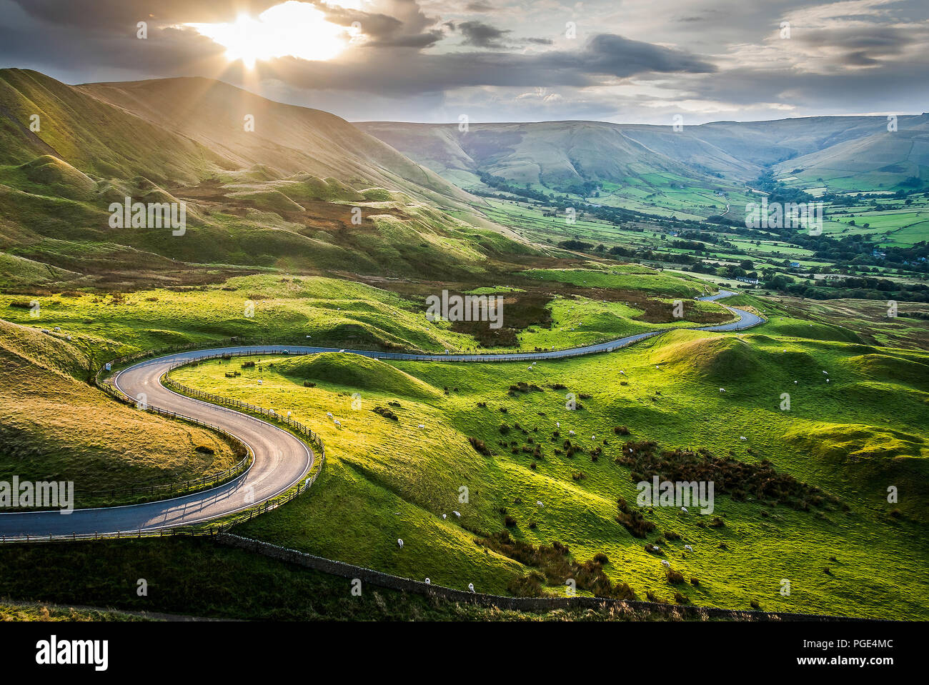 Sunset at Mam Tor, Peak District National Park, with a view along the winding road down to Hope Valey, in Derbyshire, England. Flock of sheep grazing. Stock Photo