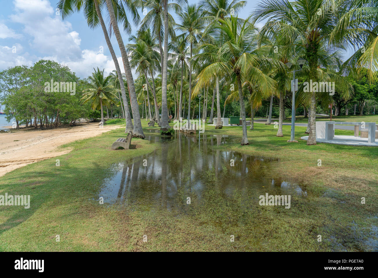 Pasir High Resolution Stock Photography And Images Alamy [ 957 x 1300 Pixel ]