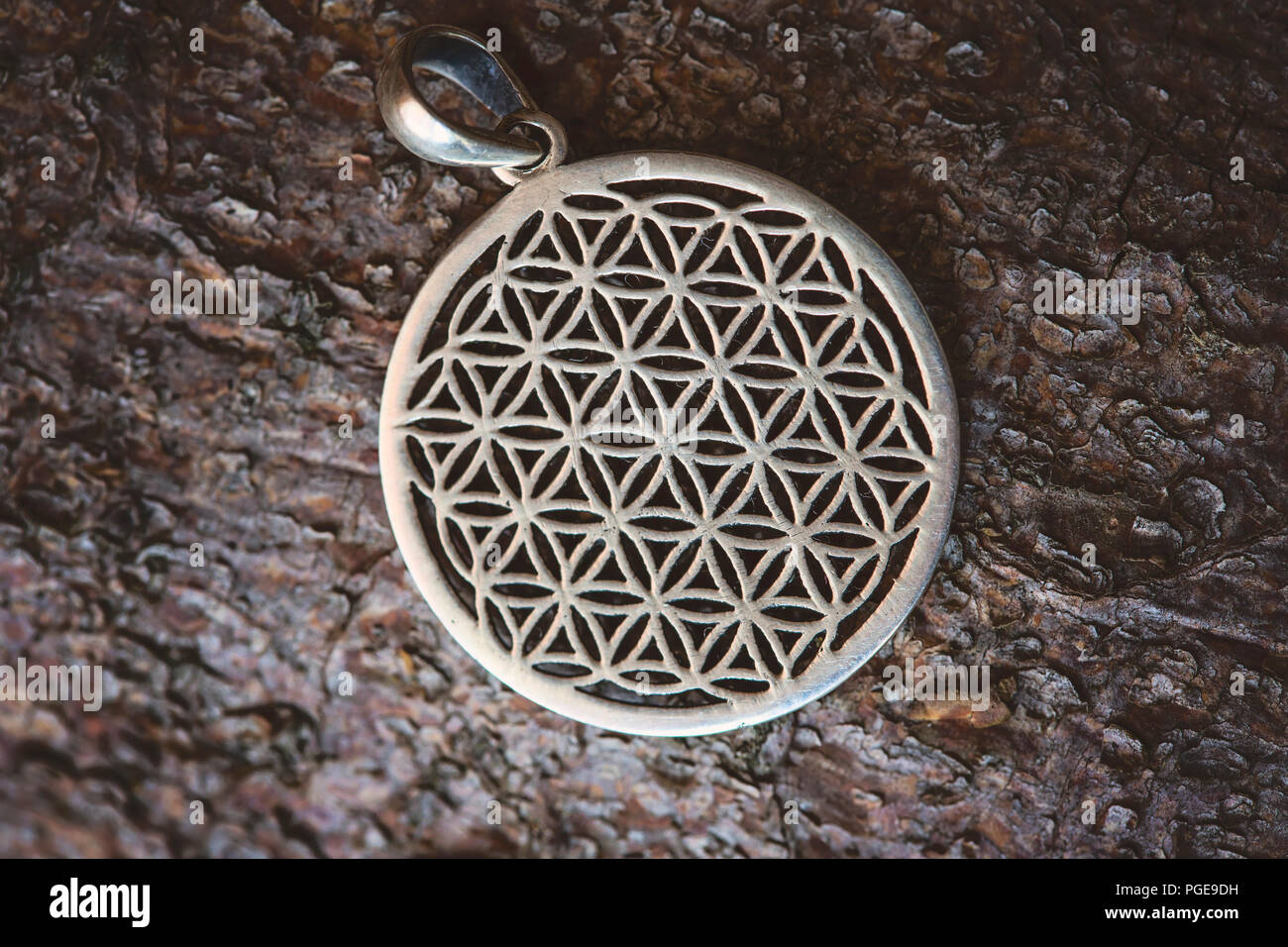 Sacred geometry flower of life silver pendant on wooden background Stock Photo