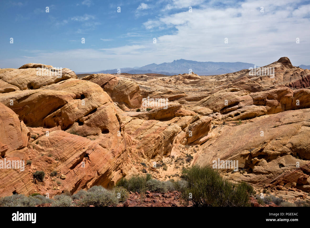 NV00006-00...NEVADA - View over the eroded Aztec Sandstone from Rainbow Vista in Valley of Fire State Park. Stock Photo