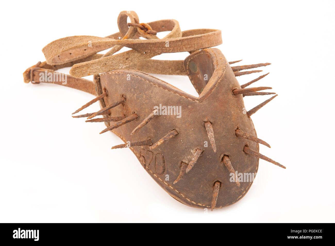An old spiked calf weaning collar. The spikes on the collar would prevent the calf from continuing to wean, as it’s mother would find the spikes uncom Stock Photo