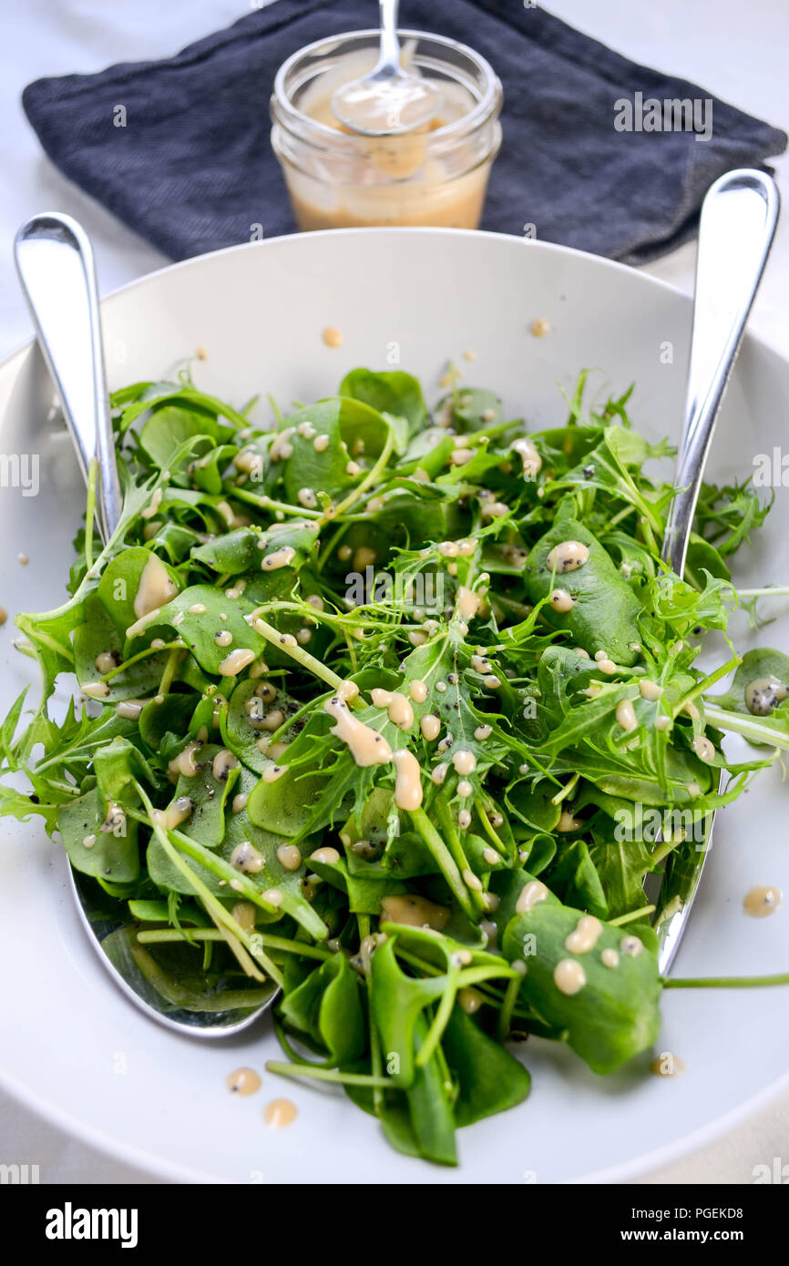 A simple green salad of mizuna and miner's lettuce served with a rhubarb and poppy seed vinaigrette, served in a white bowl with two serving spoons. Stock Photo
