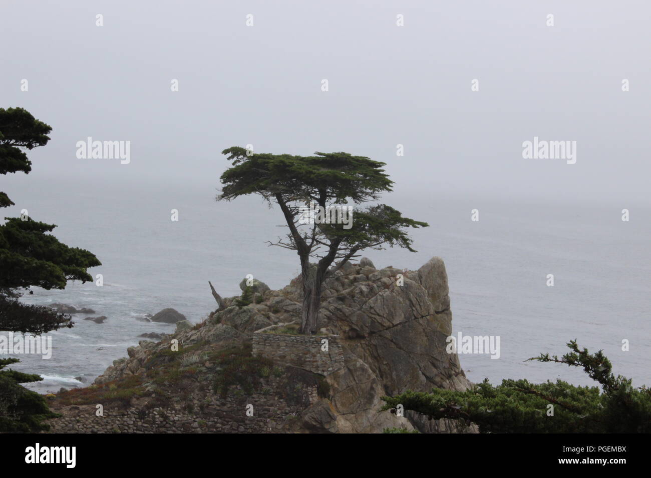 Foggy California coastline along 17-mile drive. Stock Photo